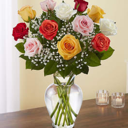 12- 18- 24 Assorted Roses Vased