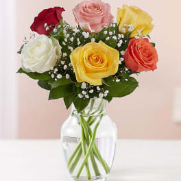 6 Assorted Roses Vased