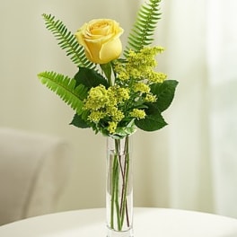 Love's Embrace Roses - Yellow 1 stem