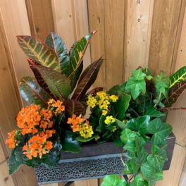 Mixed potted plants with orange and yellow flowers in a rectangular planter