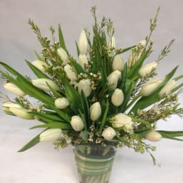 White tulips arranged in a square glass vase