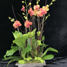 Tall orchid arrangement in a rectangular planter with bright green accents