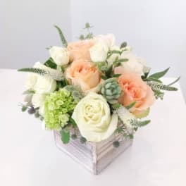 Peach and white roses arranged in a square box with green accents