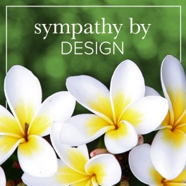 White and yellow plumeria flowers with "sympathy by DESIGN" text