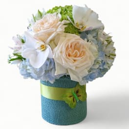 Compact bouquet of cream roses, orchids and hydrangeas in a teal cylinder vase with green ribbon and butterfly