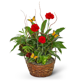 Basket arrangement with red carnations and butterfly accents