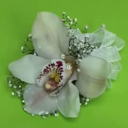 White orchid corsage with baby's breath on a green background