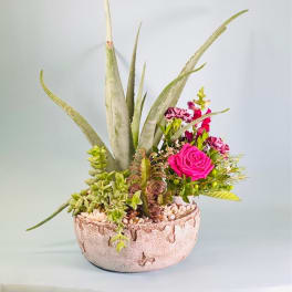 Succulent arrangement with a pink rose in a round ceramic pot