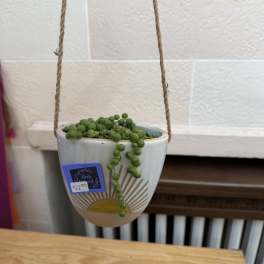 Hanging ceramic pot with a trailing string of pearls plant