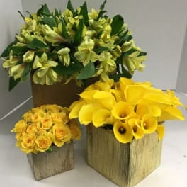 Three yellow floral arrangements in wooden boxes