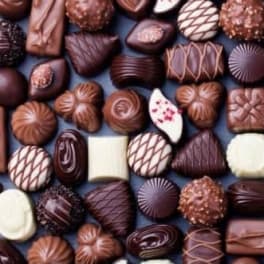 Assorted chocolate truffles arranged in rows
