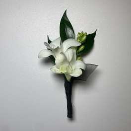 White orchid boutonniere with dark green leaves and black ribbon
