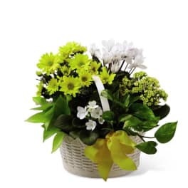The FTD A Bit of Sunshine Basket
