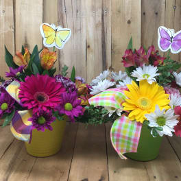 Two colorful flower arrangements in pots with butterfly picks and ribbons.