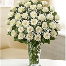 Three Dozen White Roses