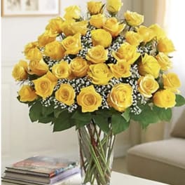 Three Dozen Yellow Roses