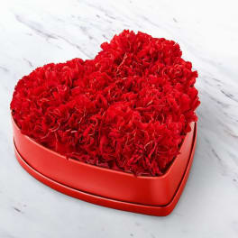 Heartfelt Carnation Box