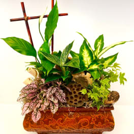 Mixed potted plants arranged in an ornate carved wooden planter