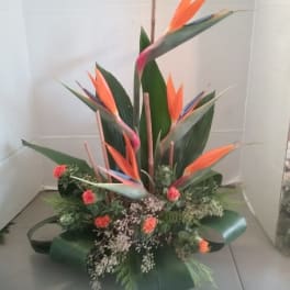 Tropical arrangement with orange bird-of-paradise flowers and small red blooms