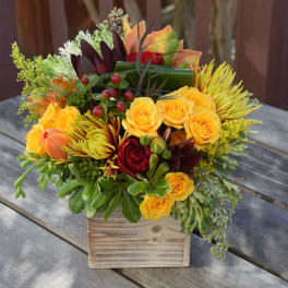 Mixed bouquet of yellow and red roses in a wooden box