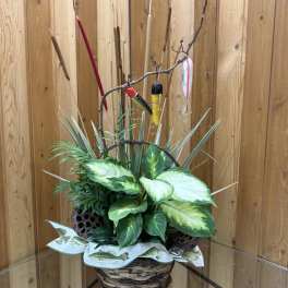 Basket arrangement with assorted green plants and fishing lures