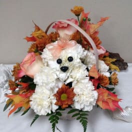 Basket arrangement with white flowers, orange blooms, and a teddy bear face