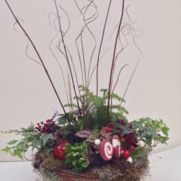 Holiday floral arrangement in a low bowl with curly branches and red accents