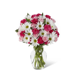 Mixed bouquet of white daisies and pink carnations arranged in a clear glass vase