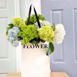 Hydrangea blooms in a white gift bag with black handles