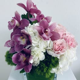 Pink orchids and roses arranged in a square glass vase
