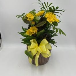 Yellow flowers in a brown pot with a yellow ribbon