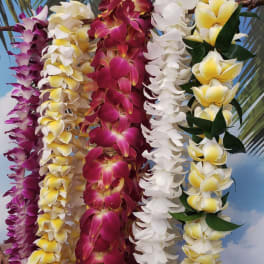 Five colorful orchid leis draped vertically against a tropical backdrop