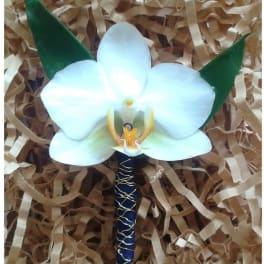 White orchid boutonniere with green leaves on a wrapped stem