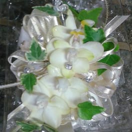 White orchid corsage with silver ribbon and green leaves
