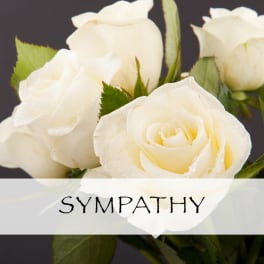 Sympathy Hanging Spray
