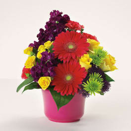 Bright mixed arrangement with red gerbera daisies, yellow roses, and green mums in a hot pink pot