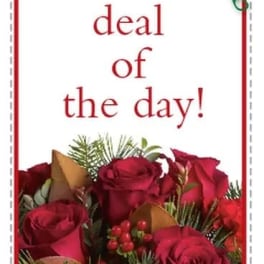 Red roses and red berries with evergreen accents below “deal of the day” text