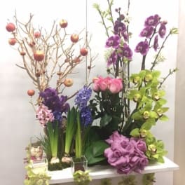 Tall floral display with orchids, tulips, hyacinths, and decorative branches