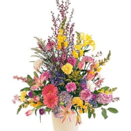 TF199-5 Spring Hope Arrangement