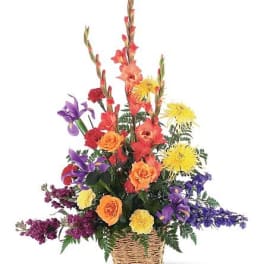 TF187-6 Rainbow Basket