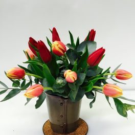 Red and peach tulips arranged in a metal pot