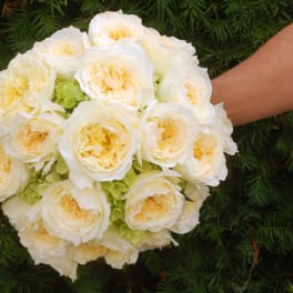 Bouquet of cream roses with pale green accents held in a hand