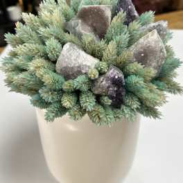 Potted succulent arrangement with crystal clusters in a white container