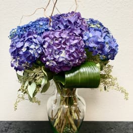 Purple hydrangea bouquet in a glass vase with curly branches