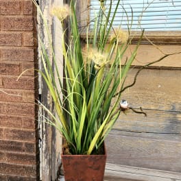 Tall potted arrangement with long grass-like leaves and pale yellow blooms