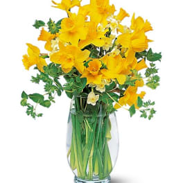 Yellow daffodils arranged in a clear glass vase