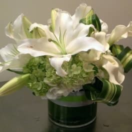 Low white lily and green hydrangea arrangement in a clear glass cylinder vase with looped striped foliage.