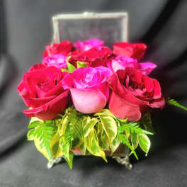 Compact arrangement of red and pink roses in a clear glass box with variegated foliage at the base