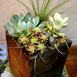 Succulent planter with mixed rosettes and tall grass in a rustic wooden box.