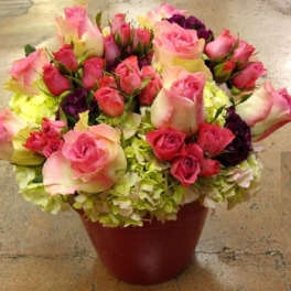 Rounded arrangement of pink roses and spray roses over green hydrangeas in a red pot
